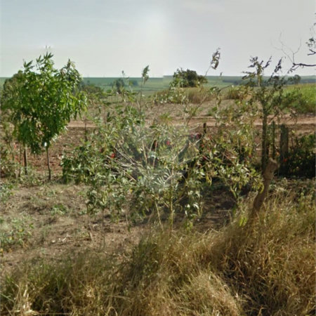 Área rural em Ibaté