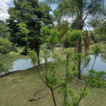 Excelente imóvel rural na cidade de Piedade/SP