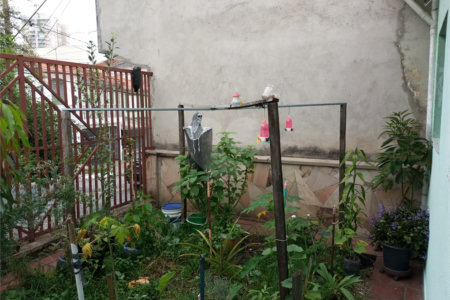 CASA TERREA A VENDA MOOCA