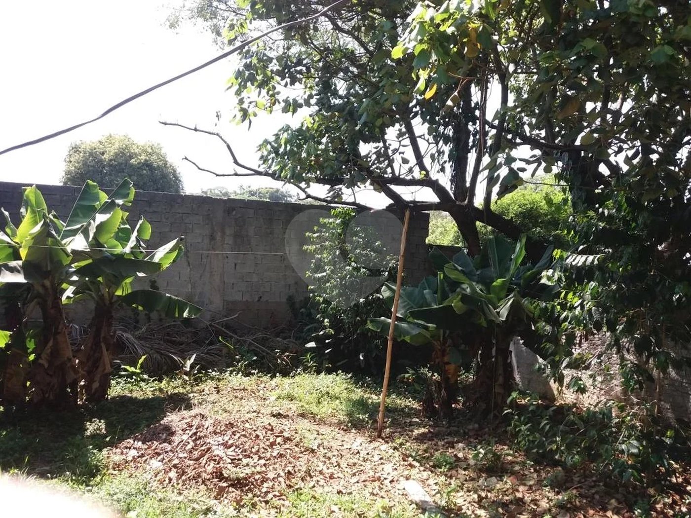 Casa térrea à venda em local tranquilo e arborizado