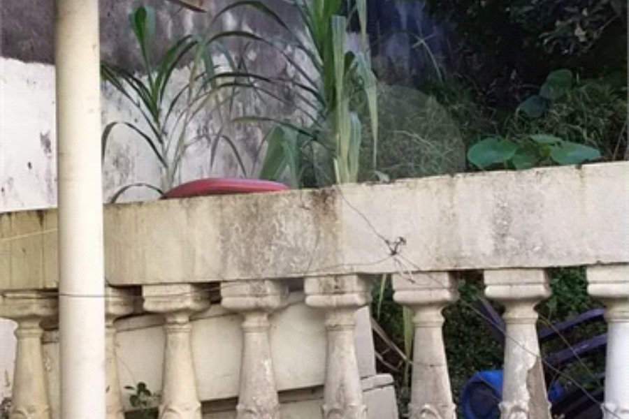 Terreno para alugar em Água Fria, São Paulo, SP