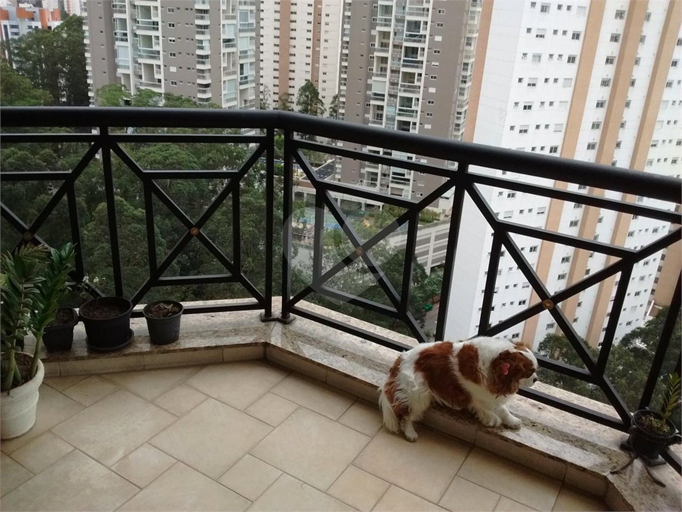 Apartamento à venda com 3 suítes em Vila Andrade, São Paulo, SP