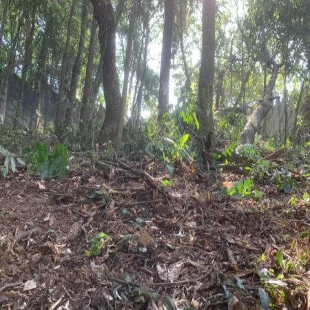 Terreno à venda em Jardim Peri Peri, São Paulo, SP