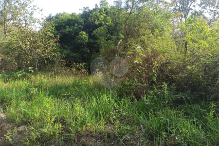 Terreno à venda em Bosque dos Eucalíptos, Atibaia, SP