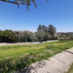Terreno à venda com 1 suíte em Bosque, Vinhedo, SP
