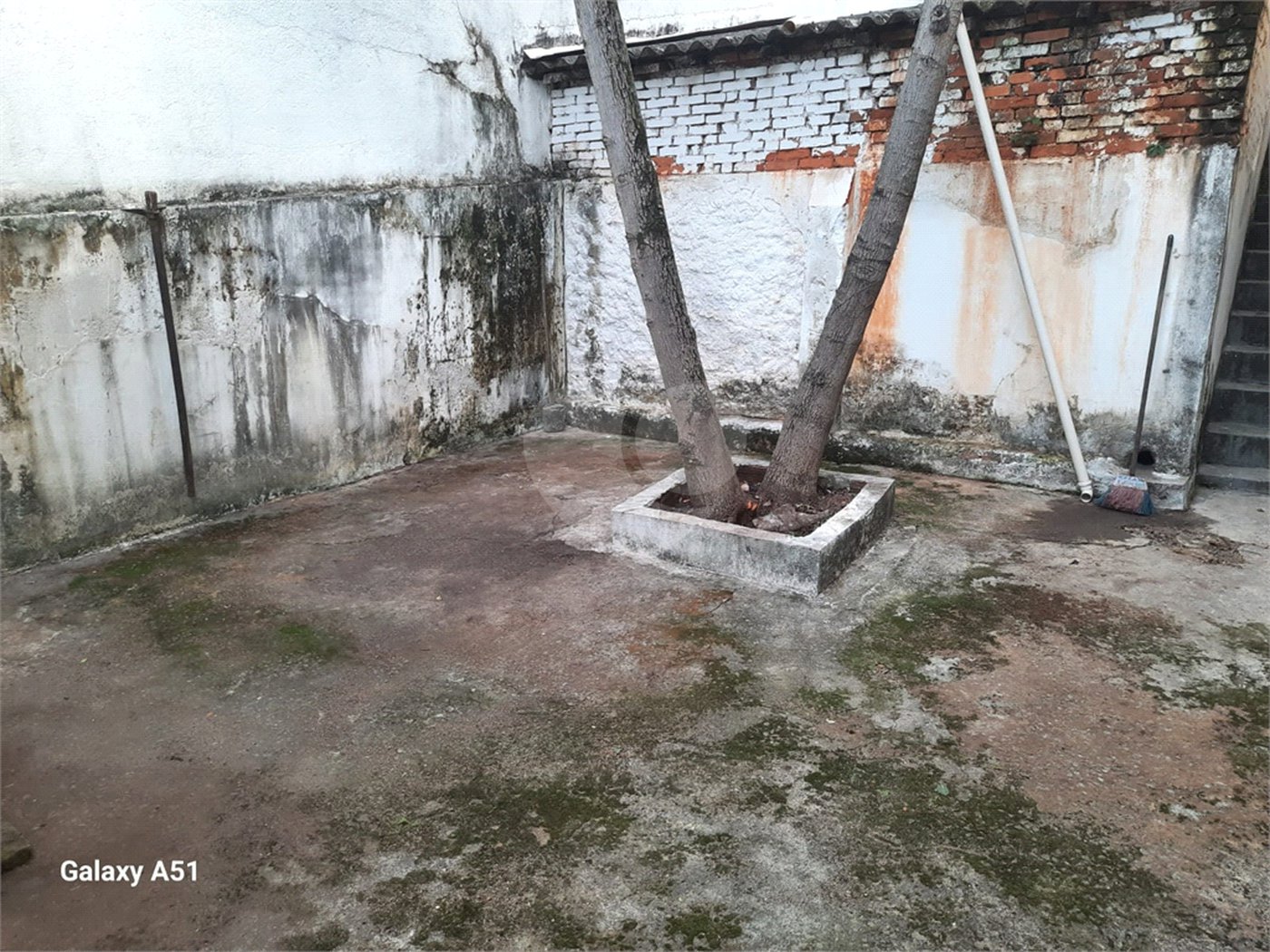 Casa à venda com 2 quartos em Santana, São Paulo, SP