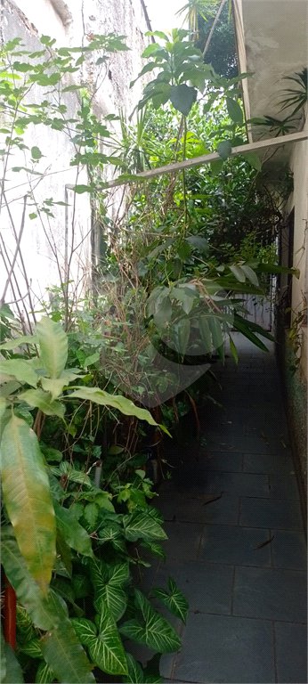 Casa de Vila à venda com 3 quartos, sendo 1 suíte, em Santana, São Paulo, SP