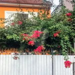 Sobrado à venda com 5 quartos, sendo 1 suíte, em Parque Edu Chaves, São Paulo, SP