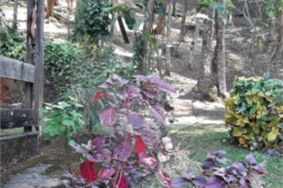 Casa à venda com 2 quartos em Caceia, Mairiporã, SP