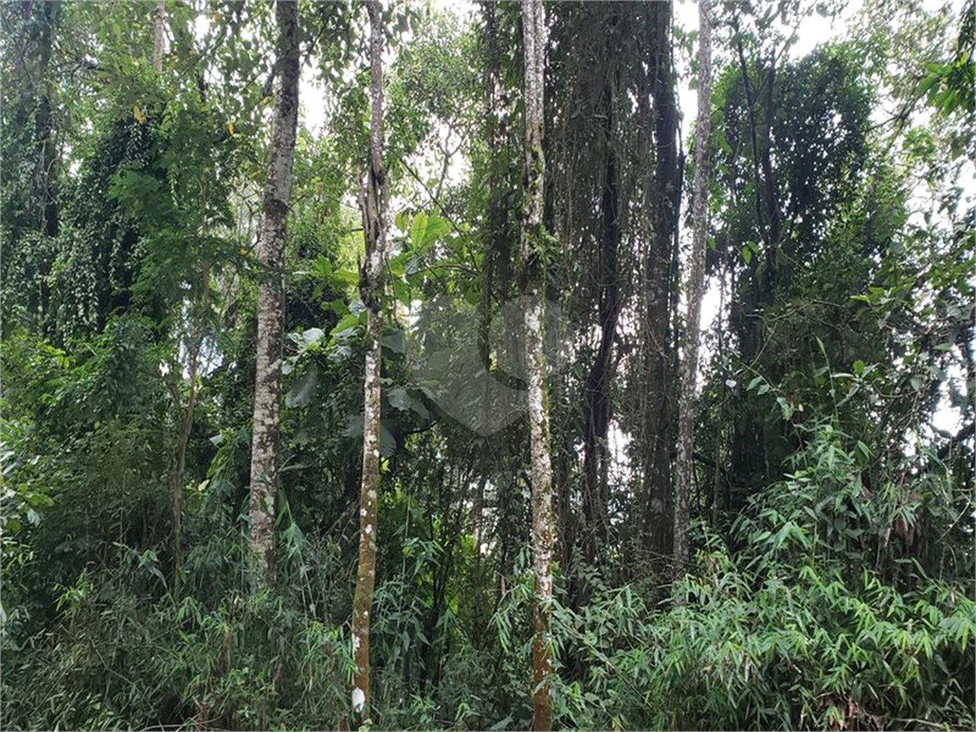 Terreno à venda em Serra da Cantareira, Mairiporã, SP