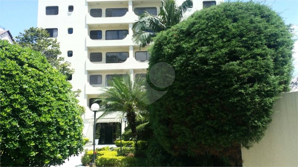 Apartamento à venda com 4 quartos, sendo 1 suíte, em Vila Nova Cachoeirinha, São Paulo, SP
