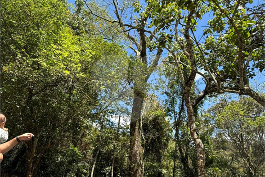 Terreno à venda no condomínio Alpes da Cantareira, Mairiporã - SP