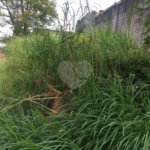 Terreno à venda em Tremembé, São Paulo, SP