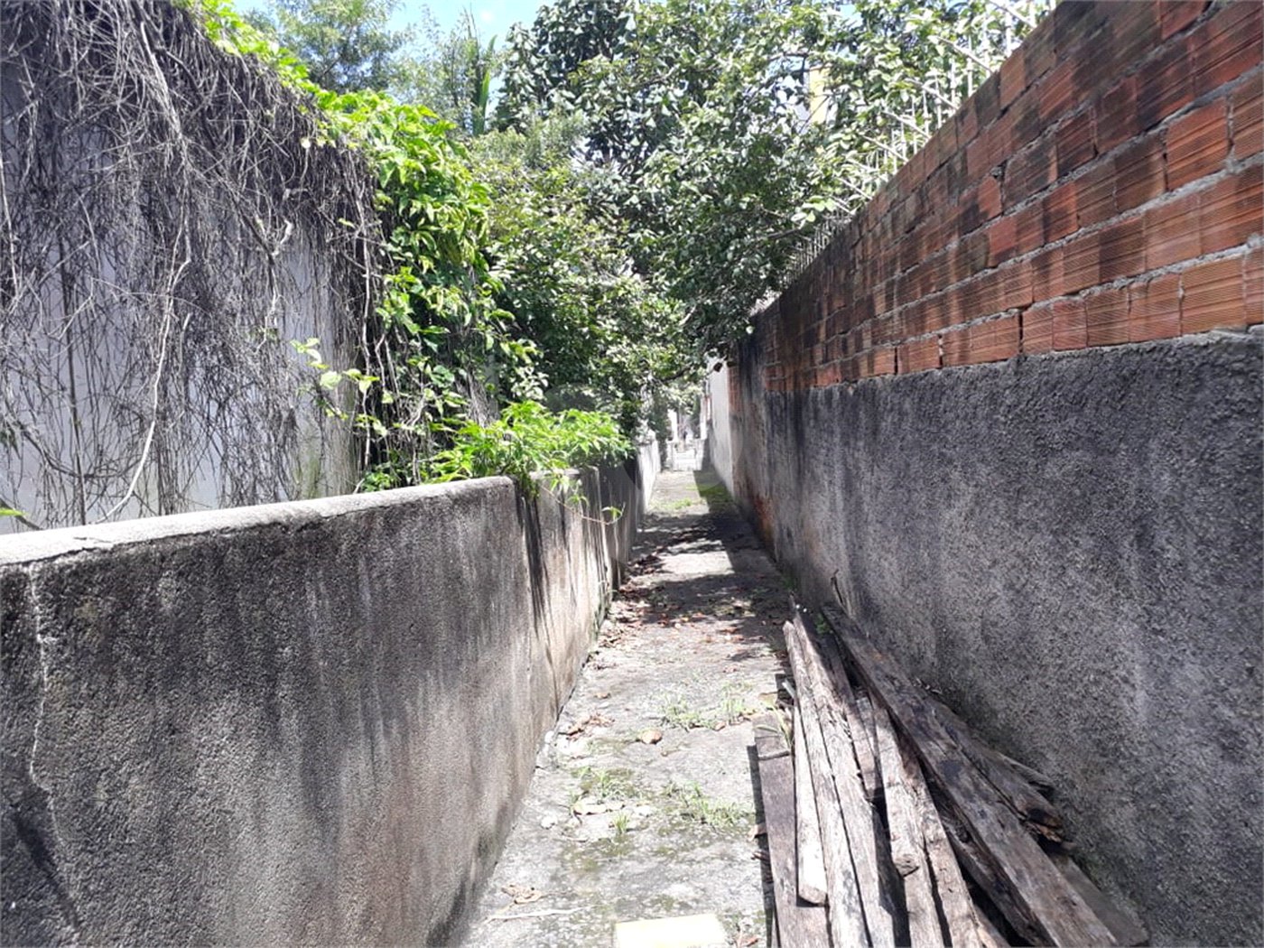 Terreno à venda em Santana, São Paulo, SP