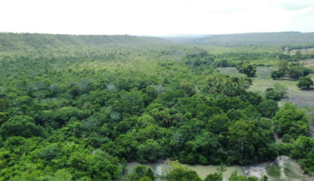 Fazenda à venda em Zona Rural, Balsas, MA