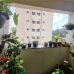 Apartamento à venda com 3 quartos, sendo 1 suíte, em Mandaqui, São Paulo, SP