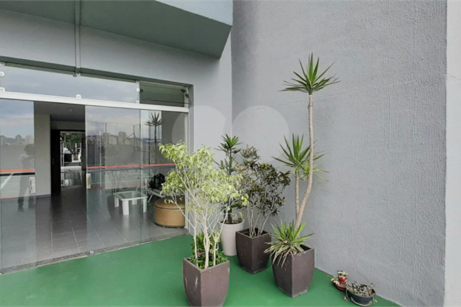 Apartamento à venda com 3 quartos em Vila Guilherme, São Paulo, SP