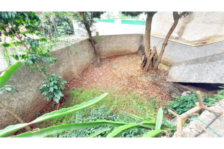 Casa à venda com 4 quartos, sendo 3 suítes, em Santana, São Paulo, SP