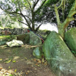 Terreno à venda em Horto Florestal, São Paulo, SP