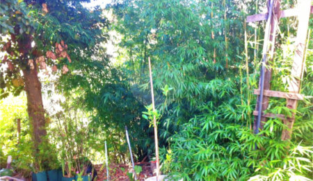 Terreno à venda em Santana, São Paulo, SP