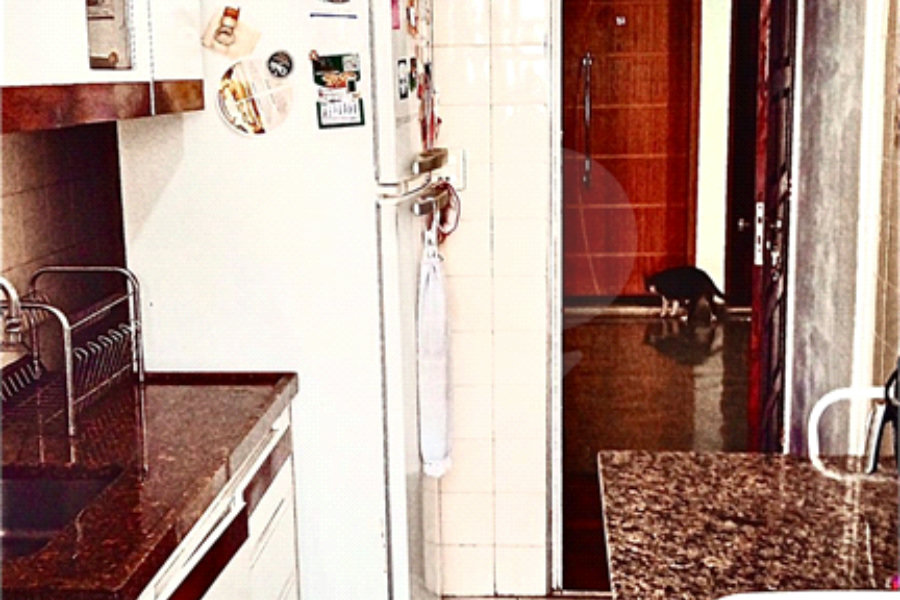 Apartamento à venda com 2 quartos no Brasilândia, São Paulo, SP