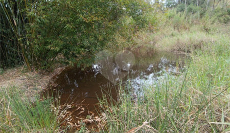 Terreno à venda em Vila Junqueira, São Roque, SP