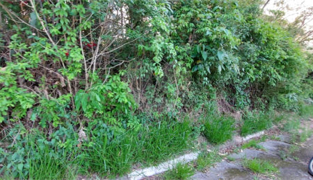 Terreno à venda no condomínio Sausalito, Mairiporã - SP