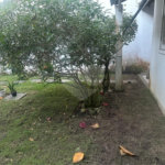 Casa à venda com 5 suítes em Barra da Tijuca, Rio de Janeiro, RJ