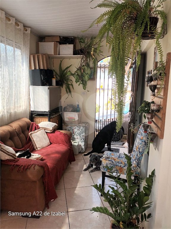 Terreno à venda com 3 quartos em Vila Matilde, São Paulo, SP