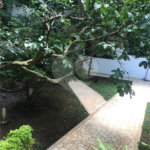 Casa para alugar em Jardim, Santo André, SP