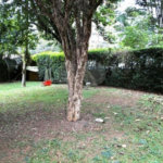 Casa Térrea à venda com 3 quartos, sendo 1 suíte, em Jardim Floresta, São Paulo, SP