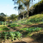 Terreno à venda no Centro (mailasqui), São Roque, SP
