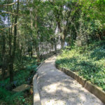 Apartamento locação Alto da Boa Vista próximo Jardim Marajoara.