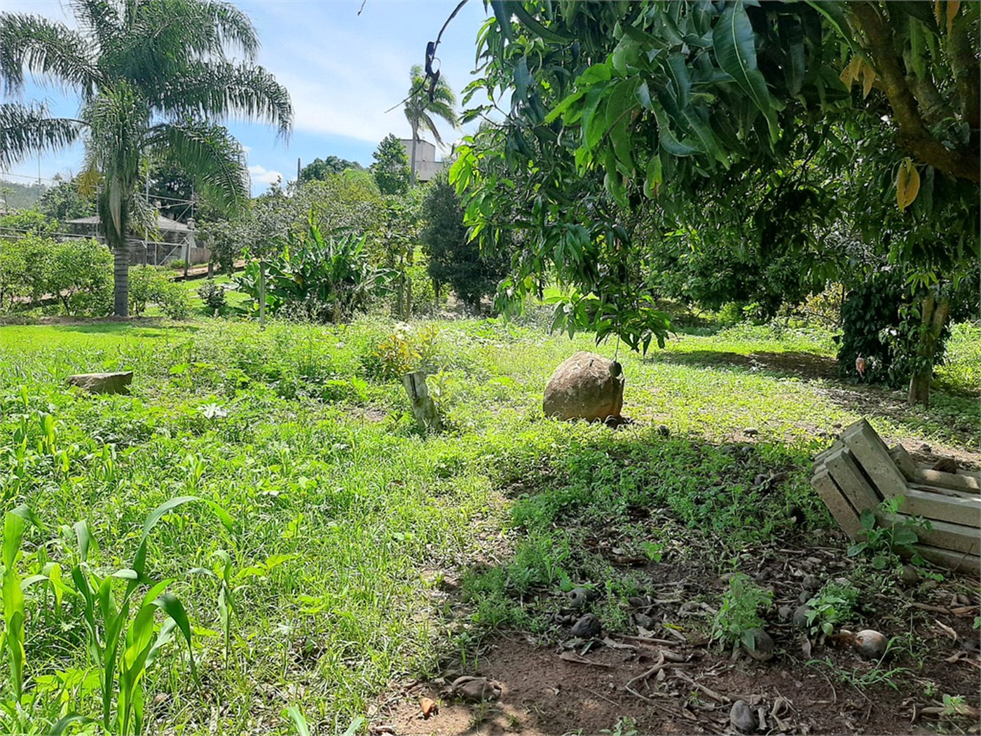 Terreno à venda em Cachoeira, Vinhedo, SP
