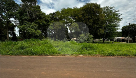 Terreno à venda em Jardim Aeroporto, Ponta Porã, MS
