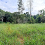 Terreno à venda em Residencial Reserva da Mata, Itapetininga, SP