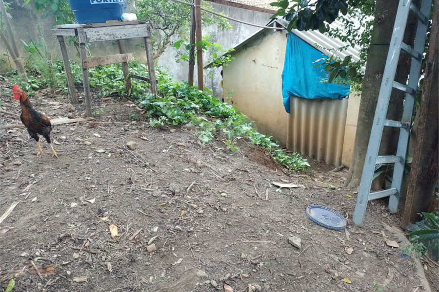 Terreno à venda com 1 quarto em Jaçanã, São Paulo, SP