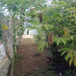 Chácara à venda com 5 quartos, sendo 1 suíte, em Jardim Marabá, Itapetininga, SP
