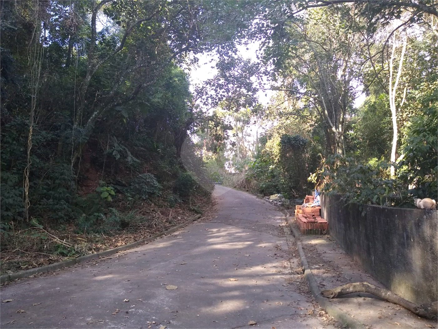 Terreno à venda em Tucuruvi, São Paulo, SP