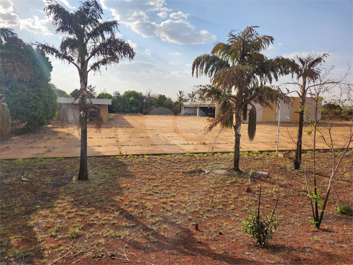 Galpão à venda ou para alugar em Jardim Dumont, Araraquara, SP