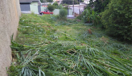 Terreno à venda em Pinheirinho, Vinhedo, SP