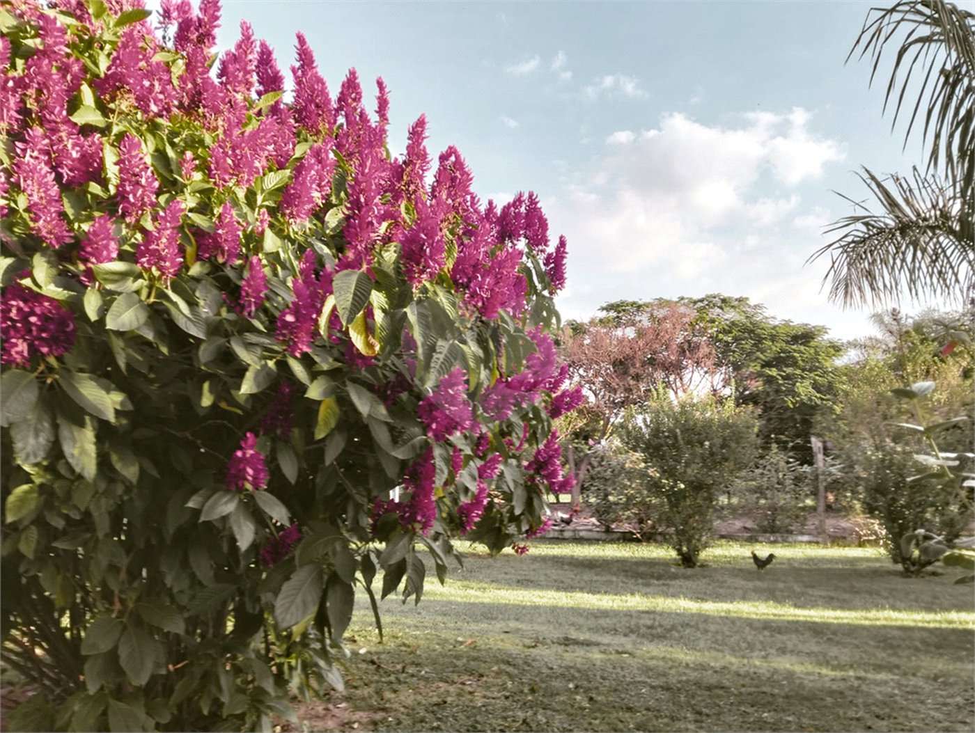 Chácara à venda com 6 suítes em Chácara de Recreio a Morada do Sol, Porto Feliz, SP