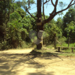 Chácara à venda com 1 quarto em Cruz das Almas, Biritiba-mirim, SP