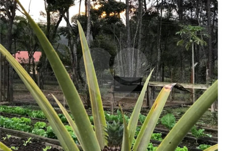 Chácara à venda com 5 quartos, sendo 2 suítes, em Taiaçupeba, Mogi das Cruzes, SP