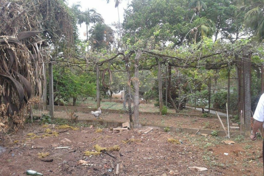 Terreno à venda em Horto Florestal, São Paulo, SP