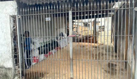 Excelente Terreno na Vila Santa Catarina — Ótima Oportunidade de Investimento!