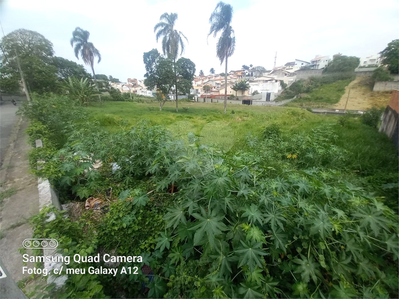 Terreno à venda em Vila Oliveira, Mogi das Cruzes, SP