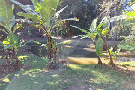 Chácara à venda com 3 quartos, sendo 1 suíte, em Chácara de Recreio Jardim Alvorada, Botucatu, SP