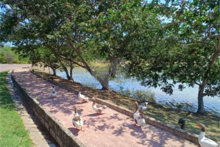 Terreno à venda com 1 suíte em Jardim São Bento do Recreio, Valinhos, SP