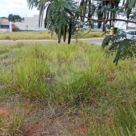 Terreno à venda em Parque Itapê, Itapetininga, SP